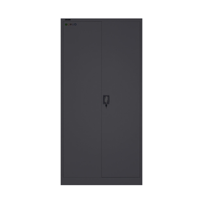 Commercial Metal Gym Locker H1850mm Raja Rani Steel Cupboard Powder Coating