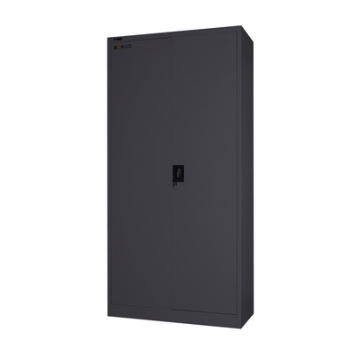 Commercial Metal Gym Locker H1850mm Raja Rani Steel Cupboard Powder Coating