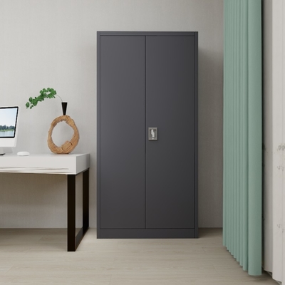 Commercial Metal Gym Locker H1850mm Raja Rani Steel Cupboard Powder Coating