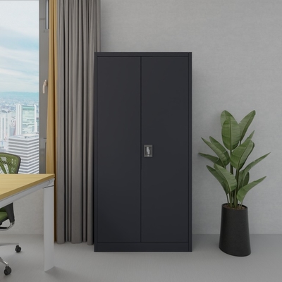Commercial Metal Gym Locker H1850mm Raja Rani Steel Cupboard Powder Coating